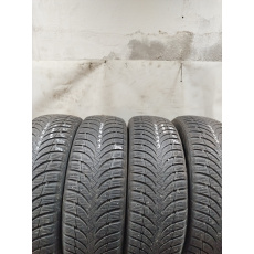 Nexen Winguard 215/65R16 98H ( Z24113)